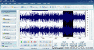 Total Recorder Editor 9.9 screenshot